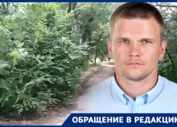 Депутат из Ростовской области возмущен состоянием аллеи, ведущей к Мамаеву кургану