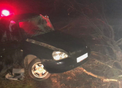 В Волгоградской области три человека погибли в ДТП