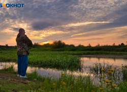 Волгоградский облкомприроды растратил “путинские” 12,5 млн рублей