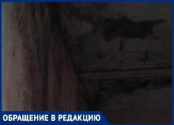 Волгоградцы показали, где они живут после пожара   