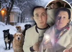 Владелица приюта объявила о роспуске 200 собак в Волгограде