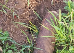 И без спецоперации процесс небыстрый: саперов ждет снаряд времен ВОВ на стройке в Волгограде