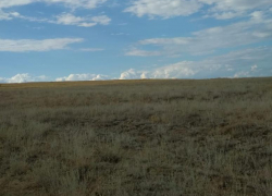 Пастух нашел мумифицированное тело мужчины в степи под Волгоградом 