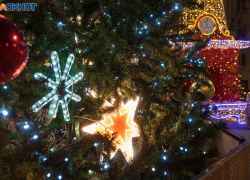 Шарами по 3000 рублей украсят елку на миллион на юге Волгограда