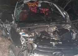 Молодой водитель погиб в распотрошенном авто под Волгоградом 