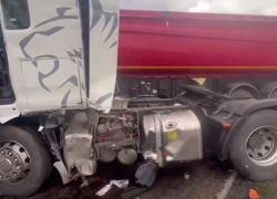 Два грузовика столкнулись с BMW под Волгоградом: есть погибший 