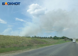 За сосновый лес при виде столба дыма испугались под Волгоградом