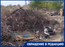 «Ждут, когда подожгут»: гора веток появилась у водоема в Волгограде