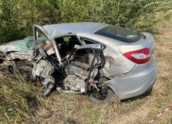 Весь салон залит кровью: на волгоградской трассе погиб пятилетний ребенок и двое взрослых