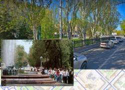 "В 80-х деревья в три ряда были": как в центре Волгограда избавились от тени