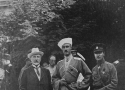 Приключения барона Врангеля в Царицыне