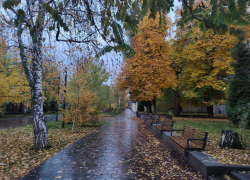 Мэрия объявила о завершении озеленения и благоустройства Горсада