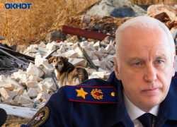 Дело о безнаказанно кошмарящих волгоградцев агрессивных псах дошло до Бастрыкина