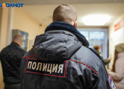 Сотрудницу отлова бродячих собак избили в Волгограде