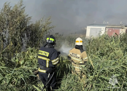 Крупный пожар у гаражного кооператива вспыхнул в Волгограде 