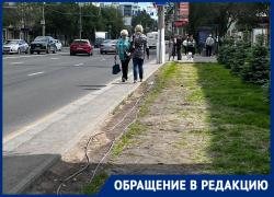 Затоптанный газон после реконструкции за 24 млн отказались спасать в Волгограде 