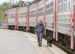 Волгоградцу грозит 10 лет колонии за прополку станции поезда от конопли