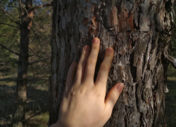 Пропавшую 13-летнюю школьницу нашли под Волгоградом
