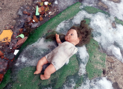 Двое детей заживо сгорели под Волгоградом