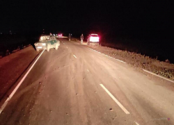 Водитель «семерки» сбила насмерть велосипедиста в Волгоградской области