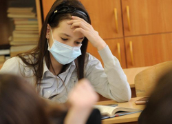 Из-за гриппа закрылось 13 школ в Волгоградской области