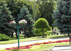 Волгоградцы выбрали парки, которым мэрия должна перечислить деньги