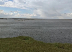 Названа причина смерти топ-менеджера «Яндекса» и еще двоих рыбаков под Волгоградом