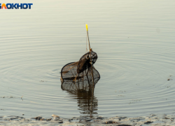 Пропавший дайвер найден мертвым под Волгоградом