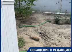 «Боимся взорваться»: боевой снаряд неделю ждет разминирования в Волгограде