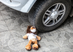 Водитель Volkswagen Tiguan сбил в Волгограде 8-летнюю девочку