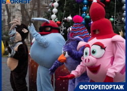 Розовая хрюша замечена в рядах политической элиты Волгограда на открытии «Победы» почти за 1 млрд рублей