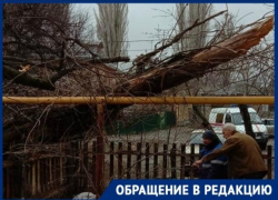 Тополя рухнули на газовую трубу и линию электропередач в Волгограде