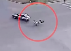 Дети на мопеде влетели в Audi в Волжском: шок-видео