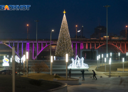 Красавица-елка в пойме реки Царицы попала в объектив фотографа