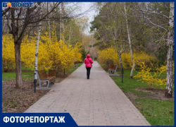 Как цветет Волгоград во время капризов апрельской погоды