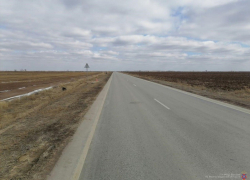 В Волгоградской области водитель «Приоры» на встречке протаранил «Жигули» и скрылся: есть пострадавший