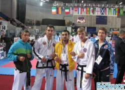 Волгоградцы завоевали четыре медали по тхэквондо