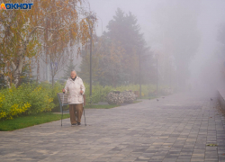 «Доживает последние деньки»: аномальное тепло уходит из Волгограда