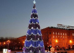Волгоградцам рассказали, сколько елок будет в городе к Новому году