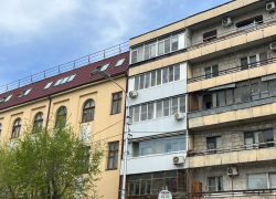 Курятник в центре Волгограда шокировал горожан: видео 