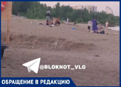 «Держателей» пляжа на Тулака сняли в Волгограде на видео: собирают деньги за лежаки и отдыхают