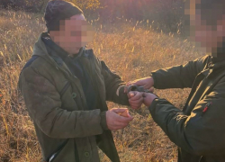 Волгоградец убил соседа и ушел жить в лес