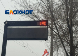 Январь прощается с волгоградцами мартовской погодой