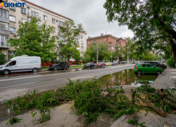 Дожди и похолодание ждут волгоградцев на предстоящей неделе 