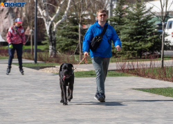 Короткая рабочая неделя началась у волгоградцев 