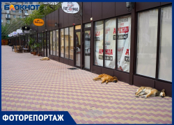 «СуперМАН» закрылся, умрёт и рынок»: волгоградцы о скорой гибели главного рынка города