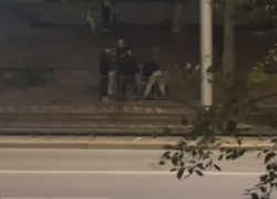 Прыгали сверху и поставили на колени: толпа жестокого избила парня в центре Волгограда — видео