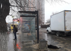 Труп собаки на остановке уже неделю пугает волгоградцев