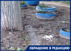 Коварный тополь обвинили в затоплении поселка в Волгограде