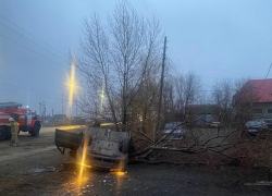 В Волгоградской области машина опрокинулась и врезалась дерево: водитель скончался